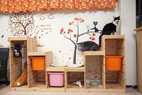 イケア「トロファスト フレーム ライトホワイトステインパイン」2