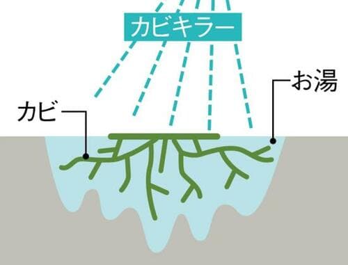 カビキラーを使った掃除方法浴槽エプロンを綺麗にしましょう イメージ