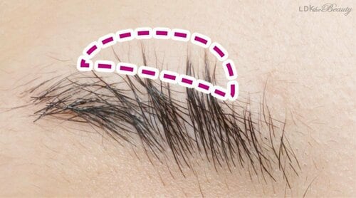 【ここが大事！】長すぎる毛はカットしておこう ガタガタ眉＆尻なし眉おすすめ イメージ
