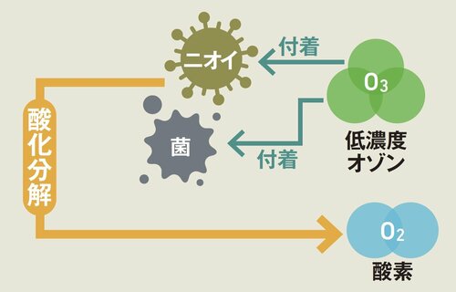 低濃度オゾン 脱臭機おすすめ イメージ