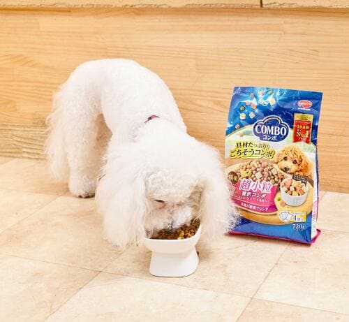 愛犬の主食、本当にそのフードで合っていますか？ ドッグフードおすすめ イメージ