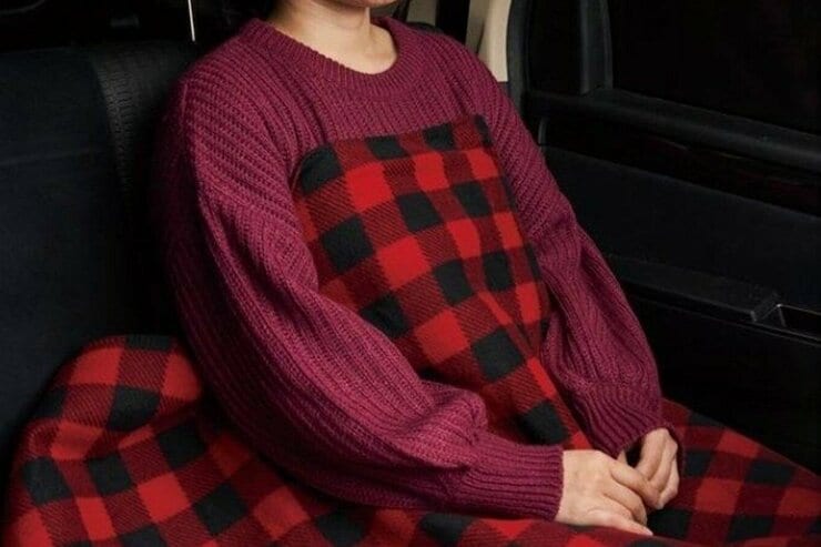 極寒の後部座席が1分で快適に！ 車載用電気毛布おすすめランキング5選｜『家電批評』が徹底検証