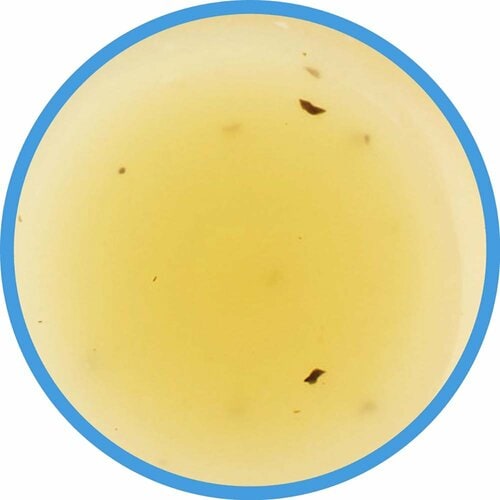 焼肉のたれおすすめ 上北農産加工 スタミナ源 塩焼のたれ イメージ2