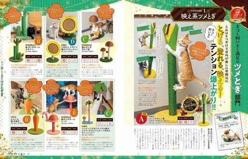 間違いだらけの爪とぎ対策していませんか? 猫用爪とぎおすすめ イメージ2