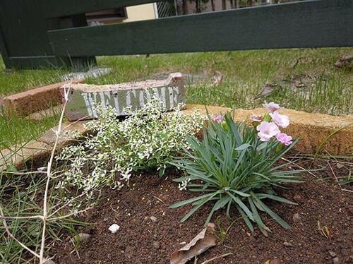 フィルタを使えば思いどおりの映像を残せます イメージ4