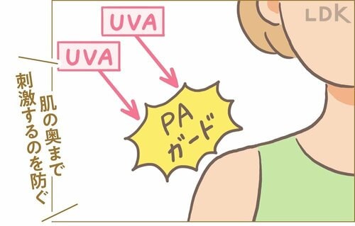 PAがガード:肌の奥に届くUVA SPF30前後の日焼け止めおすすめ イメージ
