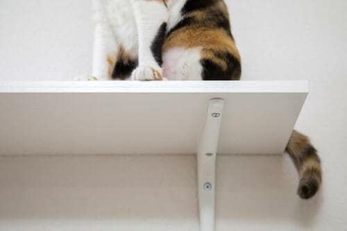 イケア「ブールフルト棚板」3