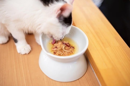 魚と肉のうま味を凝縮したスープ 猫用ウェットフードおすすめ イメージ