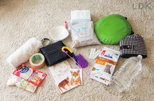 1：本当に必要なものだけそろえる 猫の防災グッズおすすめ イメージ