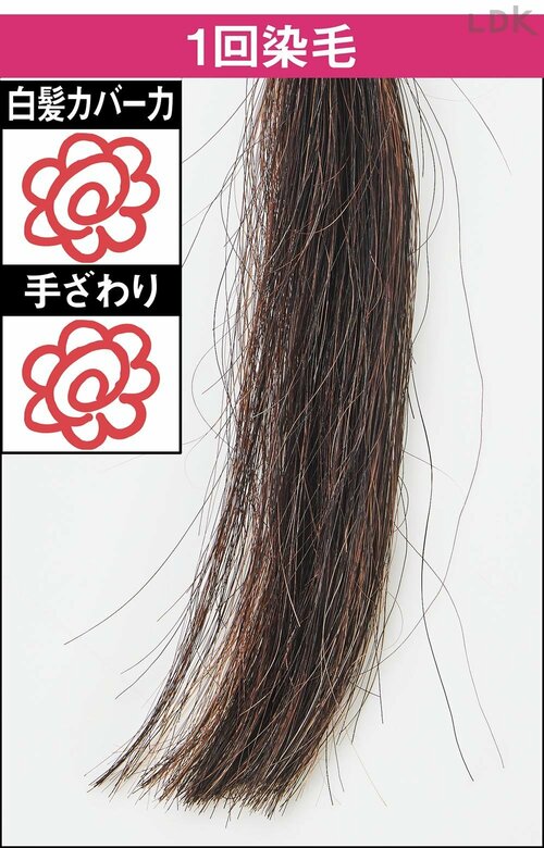 1回染毛 白髪染めトリートメントおすすめ イメージ