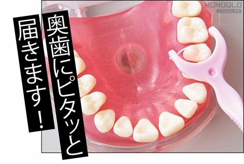 歯間への入れやすさ デンタルフロスおすすめ イメージ