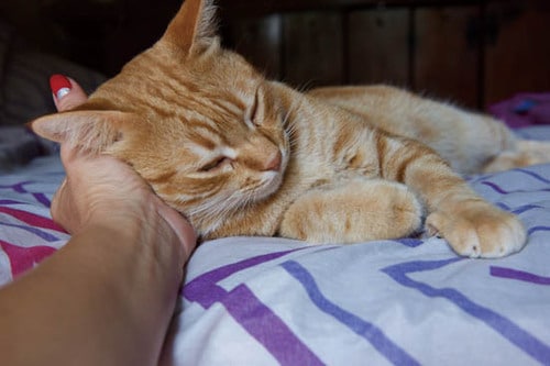 【極意2】信頼関係を築くには5つの基本ルールを厳守すること！ イメージ3