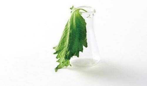 ベストのワケ1:保存したときの鮮度をキープ イメージ2