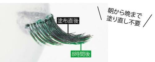 ベストのワケ：軽～い液体でずっと上向いたまま！ イメージ