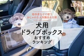 犬用ドライブボックスのおすすめランキング。LDKが安全性の高い人気商品を比較