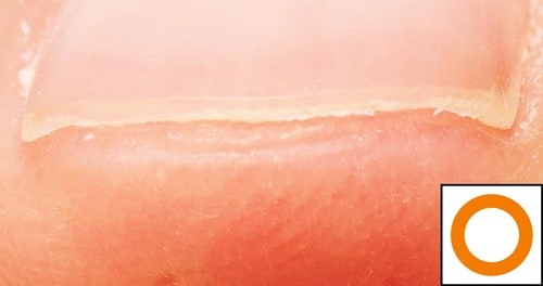 切れ味 電動爪切りおすすめ イメージ