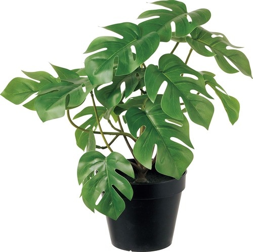 イケア「フェイカ人工観葉植物/モンステラ」 イメージ
