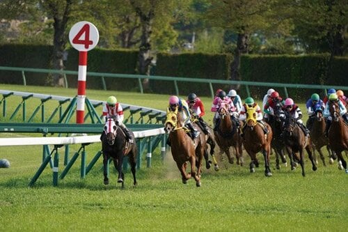 α7 Ⅲはスポーツも十分撮れる動体追尾性能があります！ イメージ3