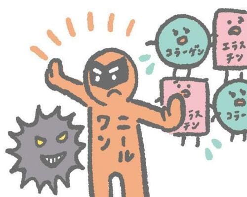 3大シワ改善有効成分は? シワ改善クリームおすすめ イメージ