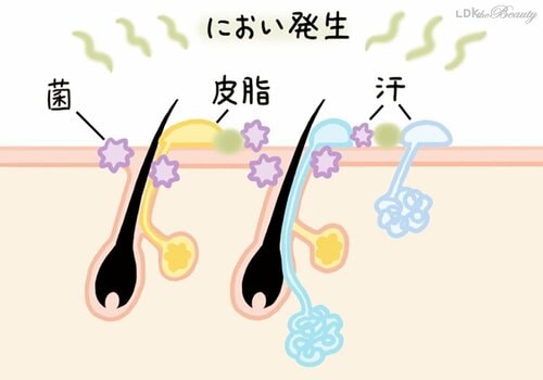 汗は雑菌によってニオう！ 制汗剤・デオドラントおすすめ イメージ