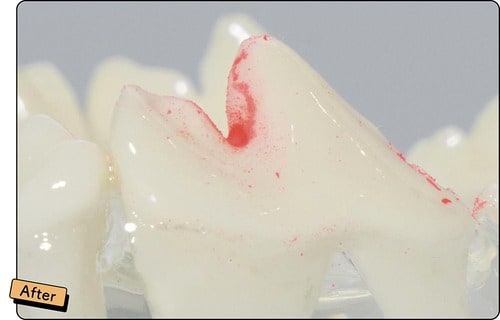 歯磨き後 犬用歯ブラシおすすめ イメージ