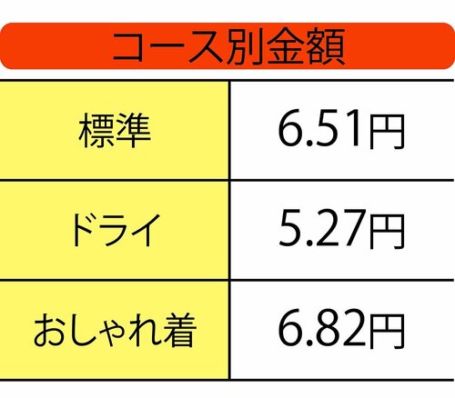 気になる電気代は？ ESTILOスチームリフレッシャーおすすめ イメージ