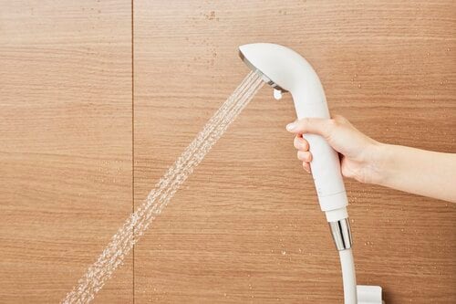 ストレート 節水シャワーヘッドおすすめ イメージ