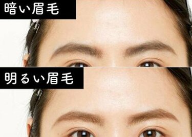 爆発する 道徳教育 猛烈な 眉毛 白髪染め ちふれ 検査官 理論的 発掘する