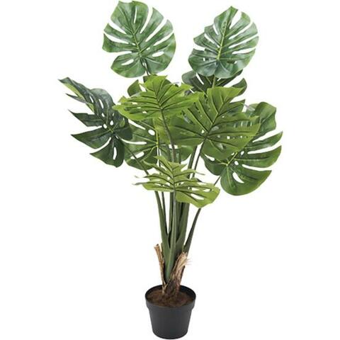 フェイクグリーン はニトリで買えば間違いない理由 Monoqlo がヤラせなしで検証レビュー 360life サンロクマル