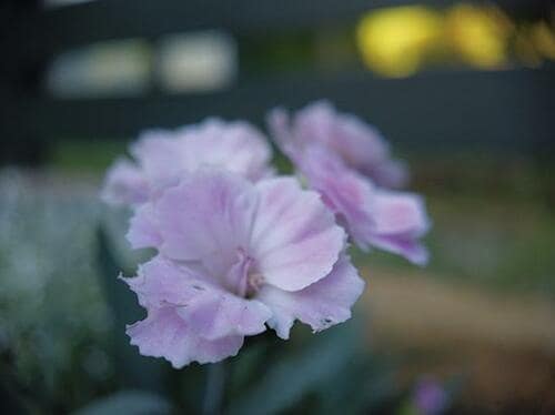 フィルタを使えば思いどおりの映像を残せます イメージ2