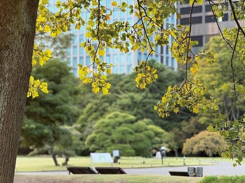 変更点2:ProとPro Maxのカメラ仕様が統一! 好みのサイズを選びやすくなった iPhone16おすすめ イメージ