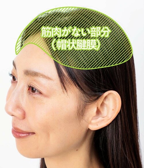 かたくなりやすい部分に直接つけてなじませて 女性用育毛剤おすすめ イメージ