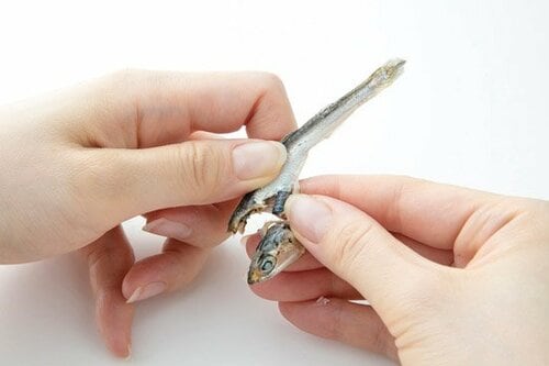 ③鍋やそばつゆにぴったり こんぶ×煮干し水だし 水出汁おすすめ イメージ4