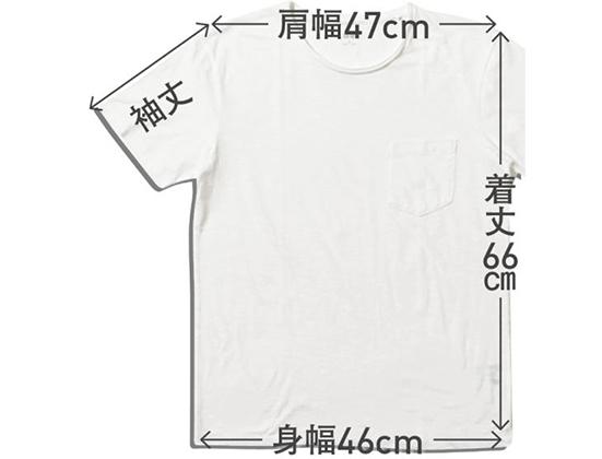 ユニクロ 無地tシャツ おすすめできるもの できないもの 360life サンロクマル