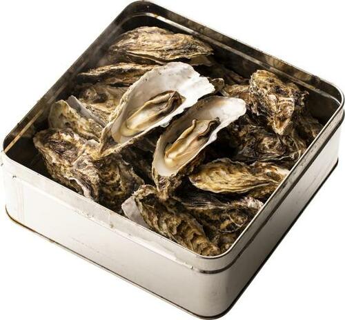 磯の旨みがじゅわ～っ！大粒プリプリ「牡蠣殻付き無選別蒸し缶」 イメージ