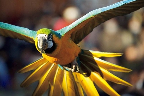 超高速連写で「OKカット」量産！ イメージ