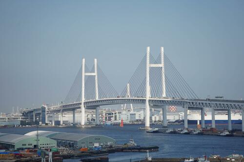 実写（シグマ）：Lマウント版同様に素晴らしい イメージ2
