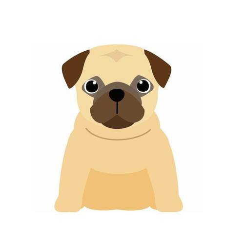 子犬(1歳未満) ドッグフードおすすめ イメージ