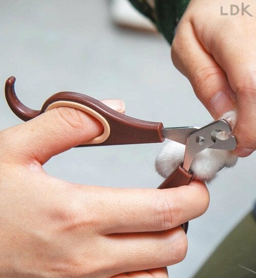 ハサミ型ツメ切りでは標準的なサイズ 猫用爪切りおすすめ イメージ