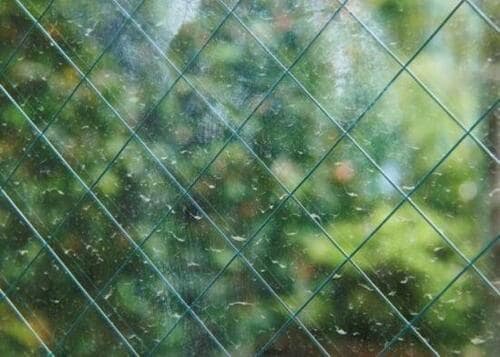 洗剤を使わないシンプルなお掃除6ステップ イメージ