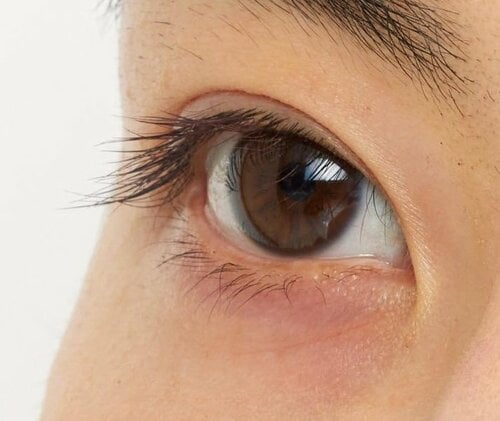 ほどよく主張するダークブラウンが絶妙 ブラウンマスカラおすすめ イメージ