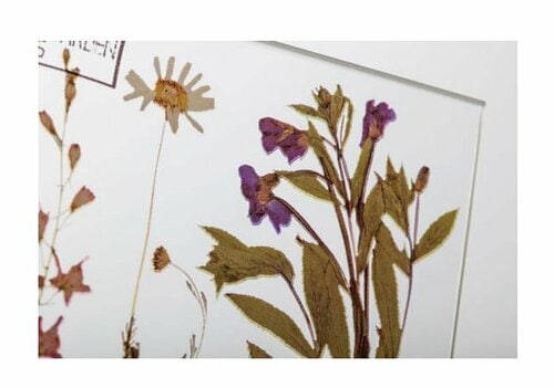 ［実力アリまくり！］押し花の ガラスオブジェはセリアで十分！ イメージ