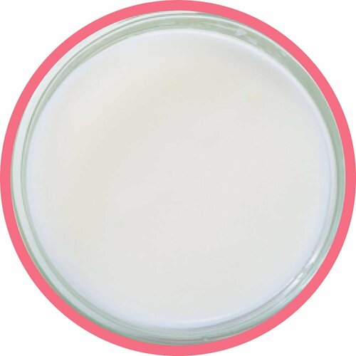 ヨーグルトおすすめ 森永乳業 トリプルヨーグルト 砂糖不使用 イメージ2