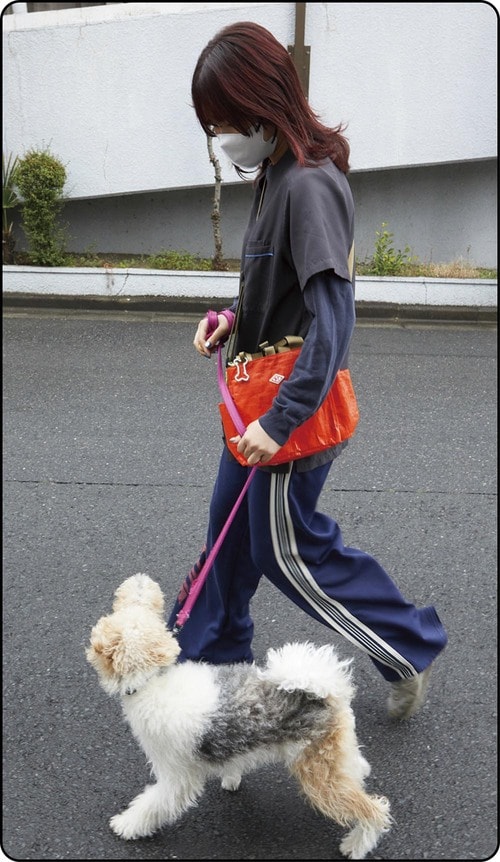 持ち運びやすいからストレスなく散歩ができる 犬のお散歩バッグおすすめ イメージ
