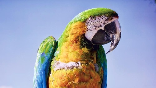 【HDR】フィルムメーカーモードで色のりがよく破綻のない映像 miniLEDテレビおすすめ イメージ