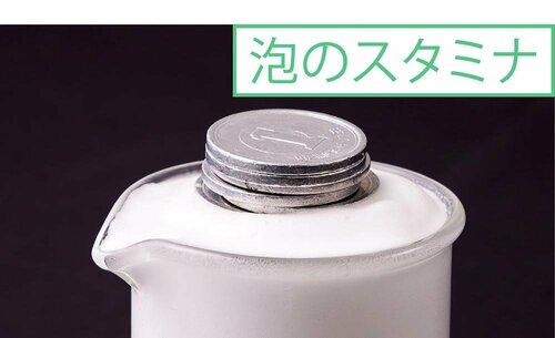 程よい洗浄力で泡持ちよし 洗顔料おすすめ イメージ2
