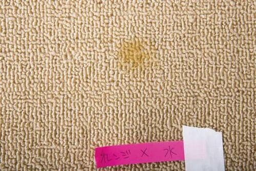 コーヒーオレンジジュースは洗剤なしでOK イメージ3