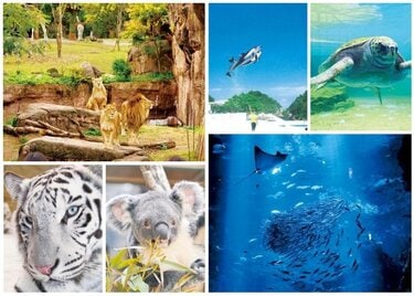 プロ厳選 近畿 関西地方の動物園 水族館おすすめランキング13選 デートや家族で行きたい人気スポットを紹介 360life サンロクマル