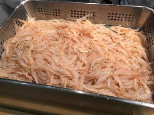 “お魚天国”富山湾から届いた奇跡の調味料 イメージ