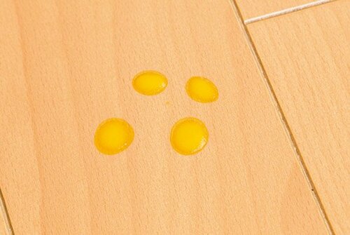 ⑭メンドウな床の雑巾がけをスイスイ落としてくれるロボット